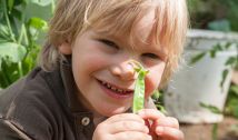 Kinder lieben Gemüse, besonders Erbsen (c) Doris Steinböck
