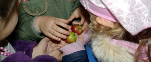 Kinder mit Äpfel