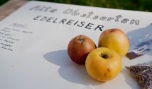 Apfel-Vielfalt, Edelreiser, alte Obstsorten (c) Doris Steinböck